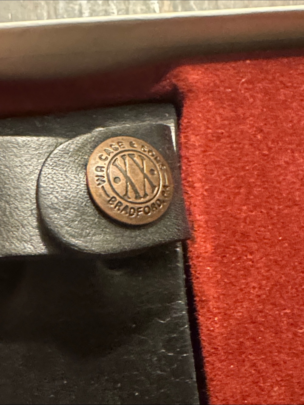 New W.R. Case & Sons Collectible Kodiak Hunting Knife with Buffalo Horn Handle - Picture 4 of 12